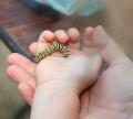 IMG_9013 erin holding jax holding caterpillar